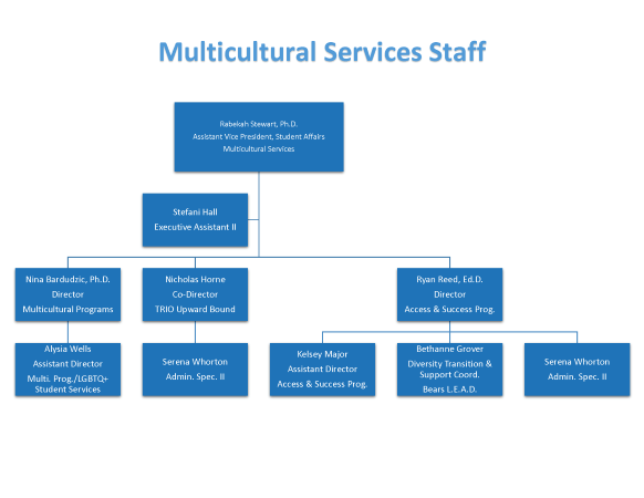 Multicultural Services Organizational Chart